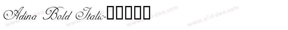 Adina Bold Italic字体转换